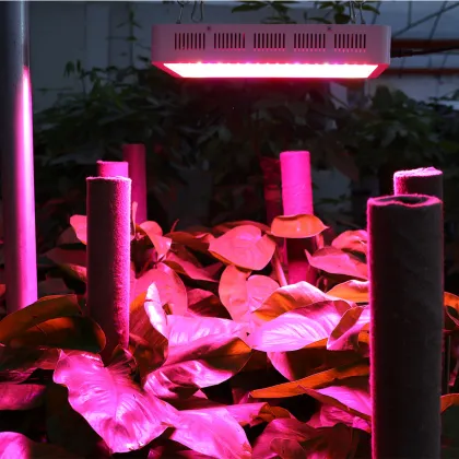 Better than mars ii led grow light 600w Fruit Green Full spectrum 5w led grow light