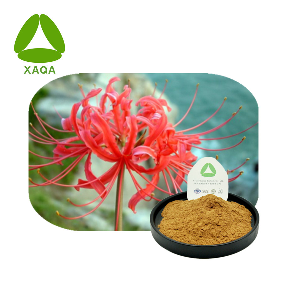 مستخلص Lycoris Radiata 98 ​​٪ 2188-68-3 ليكورين هيدروكلوريد