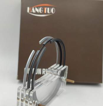 Piston Ring Set FIT FOR DEUTZ F4L2011 Engine
