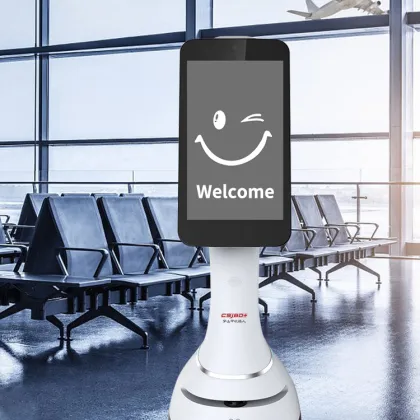 Digital Virtual Character and Service Robot for Exhibition Halls