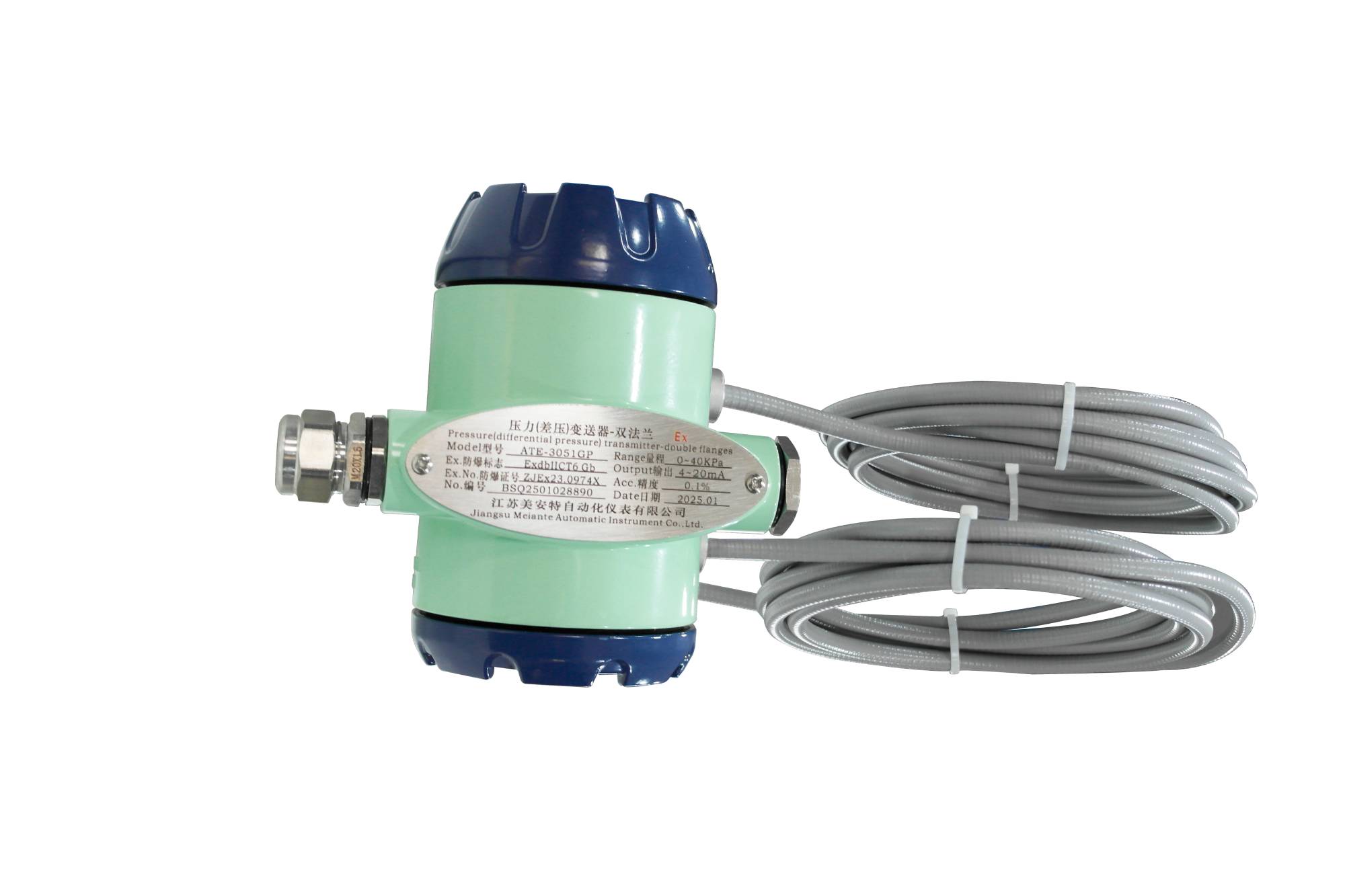 Double flange differential pressure transmitter