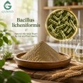Ingrediente microbiano probiótico Bacillus Licheniformis