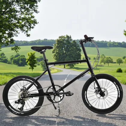 SL2003-8S Shimano 8-Speed Derailleur Bicycle