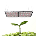 480W Led Grow light Samsung LM301H