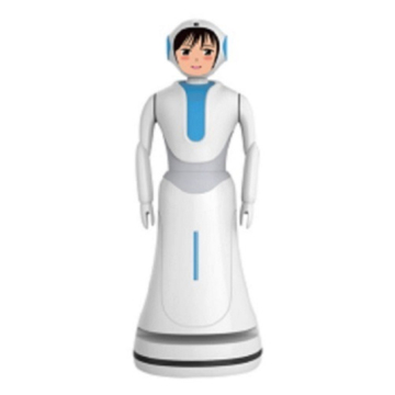 Company Interactive Talking Robots