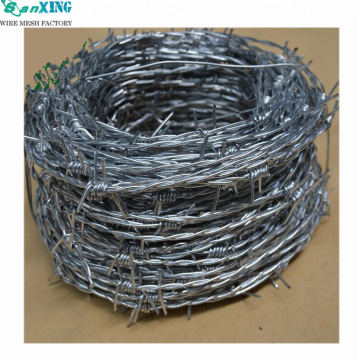 Cheapest Price Hot Dipped Galvanized Barbed Wire