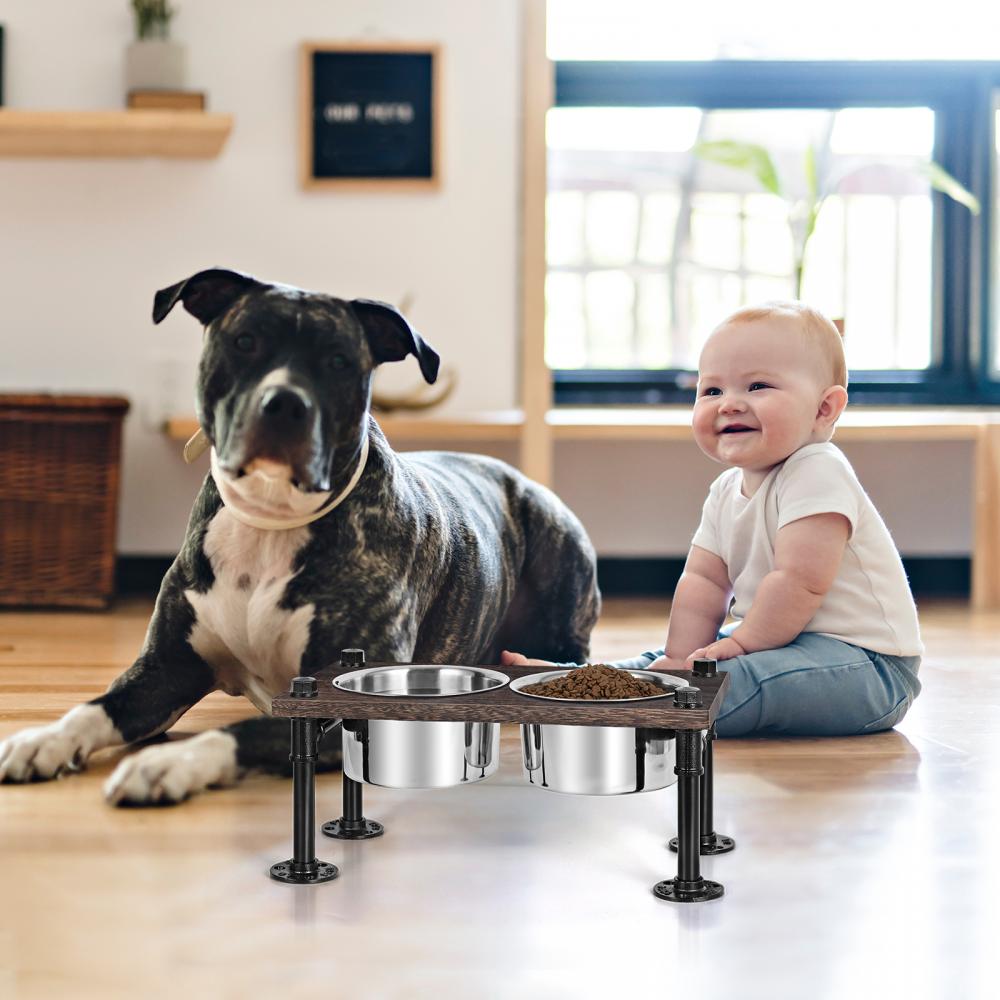 Raised Dog Bowl