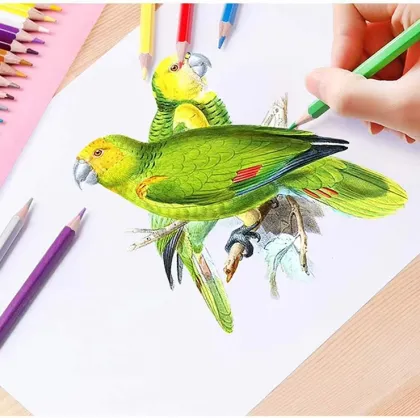 36 Color Standard Wood Colored Pencil Set - Bright Pencils for School Stationery Supplies