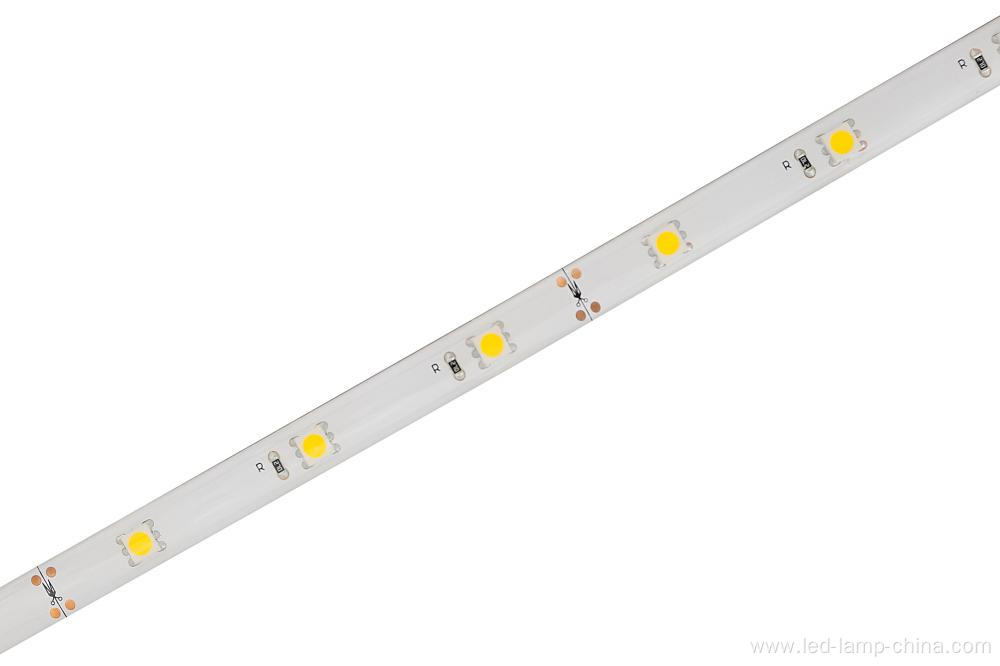 SMD5050 LED Strip Light