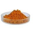 Extracto de cuspidatum de polígono 95% materia prima a granel