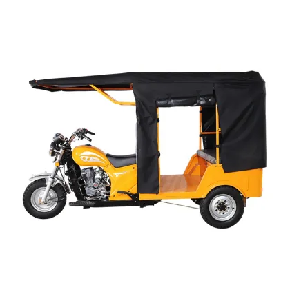 Small Lightweight Motorized Tricycle: Semi-Closed Three-Wheeled Motorcycle