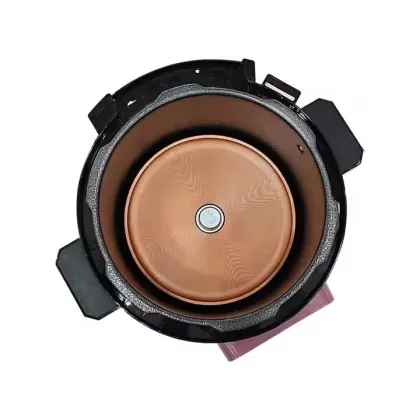 Modern 5L Electric Pressure Cooker: New Arrival in Smart Home Appliances