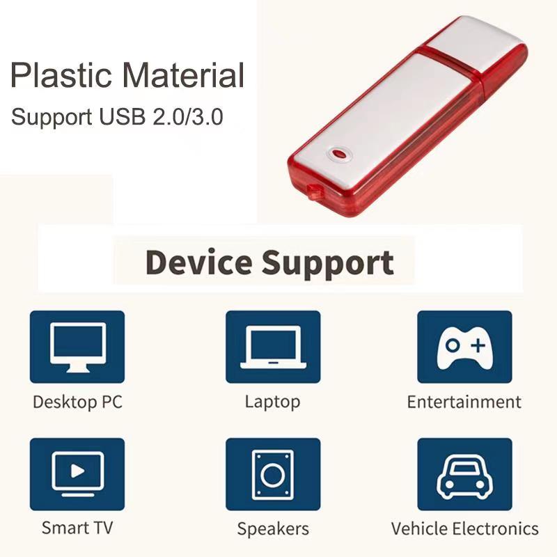 Cakera kilat USB plastik klasik euro