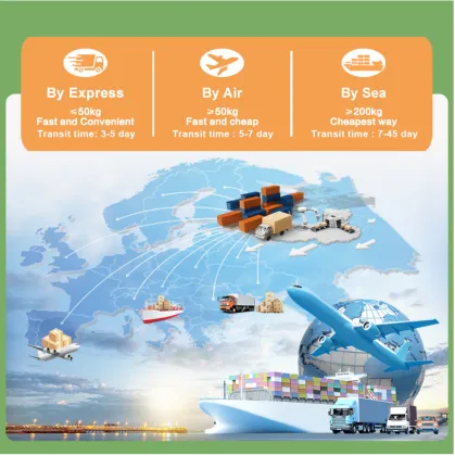 Natural Boletus Edulis Extract Powder