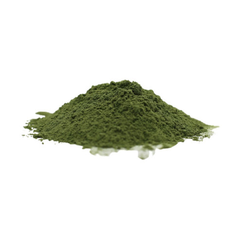 Organic Barley Grass Juice Powder Gluten Free