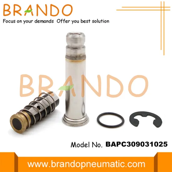 Solenoid Armature Parts for Dairymaster Pulsators Corr