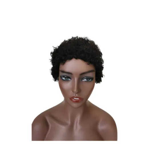 20% OFF wigs human hair lace front human hair wig short lace front wigs for black women