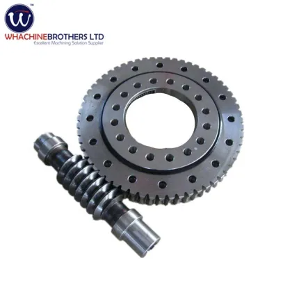 Whachinebrothers Ltd.: Customized Professional PVC Worm Gear for Auto Parts