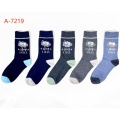 Custom cotton socks for ladies