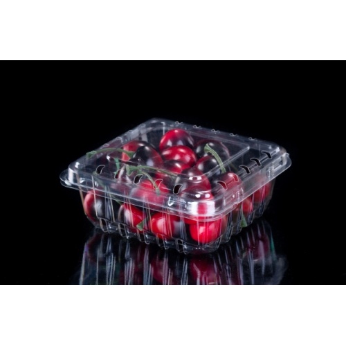 Retail Vegetable Clamshell Plastic Box