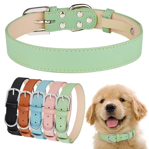 Personalized Leather Pet Collar