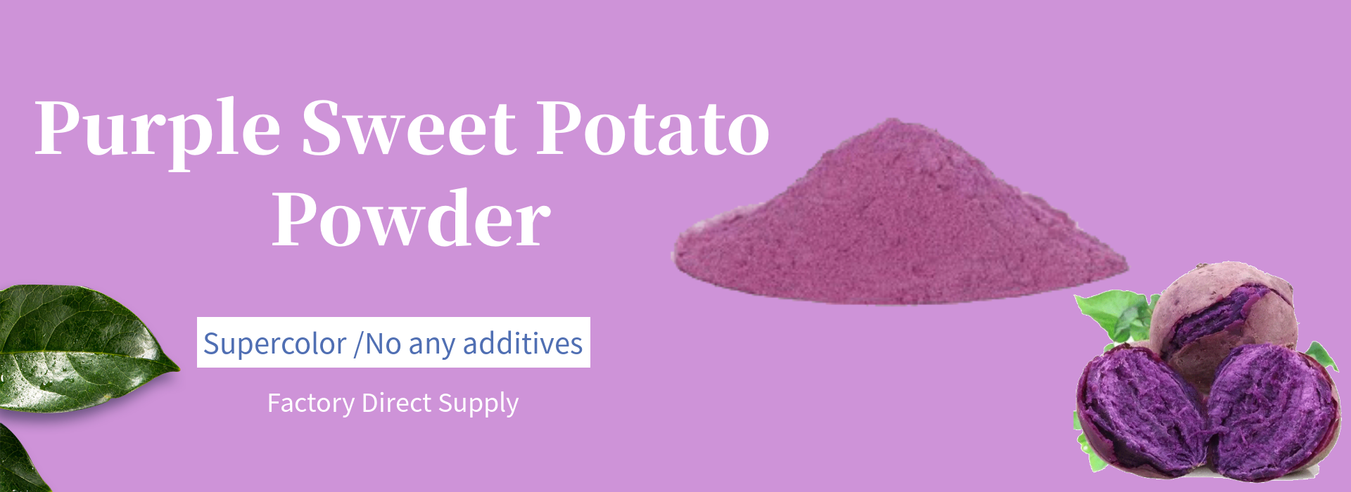 Dehydrated Purple Sweet Potato Supercolor Powder