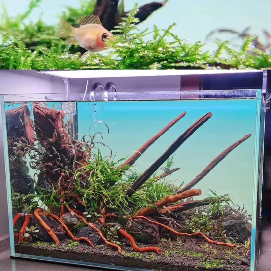 Ultra-Thin Backboard Fish Tank LED Panel Lighting