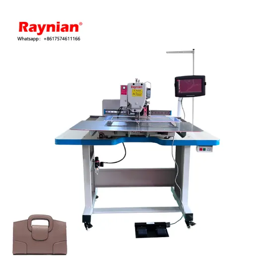 China Factory Wholesale Raynian-30*20F Dahao Programmable Electronic Pattern Sewing Machine