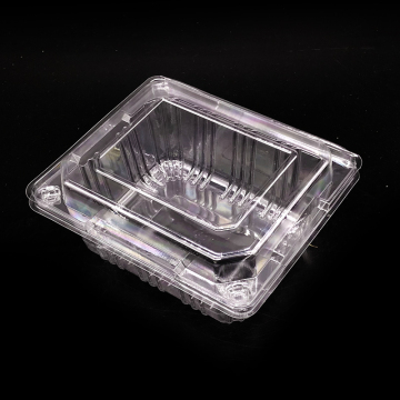 Wholesale Customized Plastic Fruit Boxes for Blueberry, Cherry, Strawberry