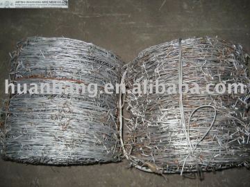 barbed fence