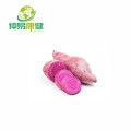 Purple sweet potato extract Anthocyanins