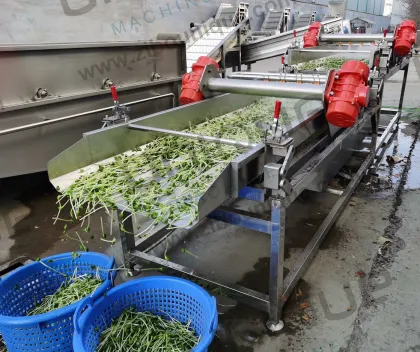 Zibounique Mung Bean Sprout Husk Removal Machine