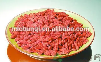 NingXia fresh goji berry seed
