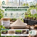 مسحوق Streptomyces avermitilis Microbial لإدارة التربة ومنطقة الجذر