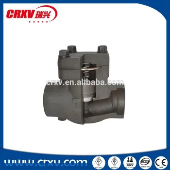 Piston Check Valve Anatomy Image