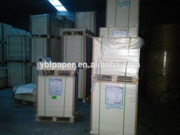 pe coated paper of paper cup raw material