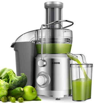 2023 Hot Sale Nutrient Juicer: Low Noise Stainless Steel BPA-free Fully Automatic Juicer Machine