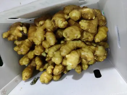 Fresh Ginger Dried Ginger