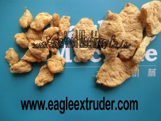 Textured Soy Protein Processing Machinery