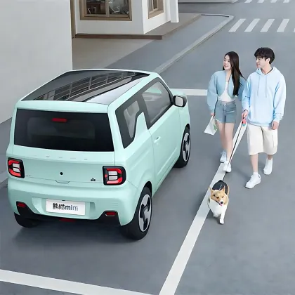 Geely Panda Mini: New Energy Vehicle - Hot-Selling Long-Range Mini Car