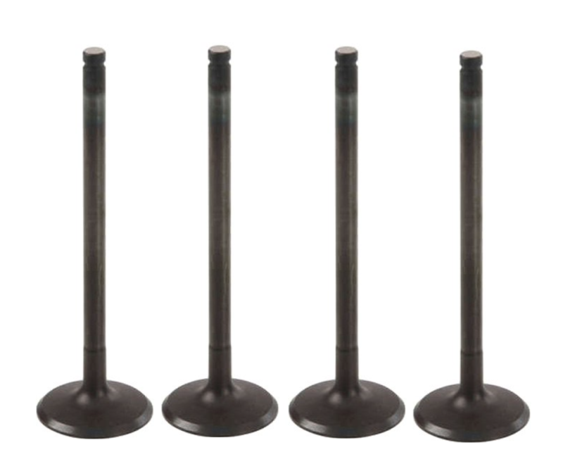 Durable Replacement Intake Valves for Industrial Application