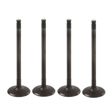 0K2NC12111 Intake Valve for Engine