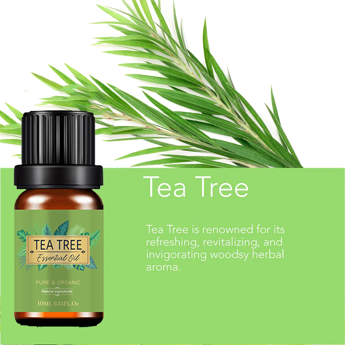 Produtor de petróleo essencial natural Óleo essencial para tea -tea 100% puro para grau terapêutico de aromaterapia.