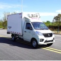 Foton 3 m camión refrigerado pequeño