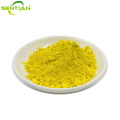 Premium Plant Extract Fisetin
