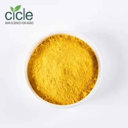 Folic Acid Vitamin B9 Folate