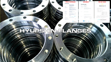 10K JIS B2220 LOOSE STEEL SS400 FLANGE