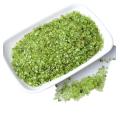 Chip Peridot Beads for Home Decoration & Decor Making Jewelry 100Gram Crushed Irregular Tumbled Stone Pieces Beads No hole