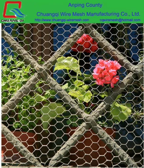 Cheap Chicken mesh fence, galvanised wire netting