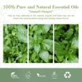 100% Natural And Pure Organic Nepeta Oil Catnip Essential Oil For Calming